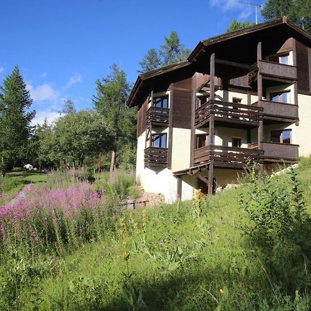 Chalet Les Arolles เลซอร์ ภายนอก รูปภาพ