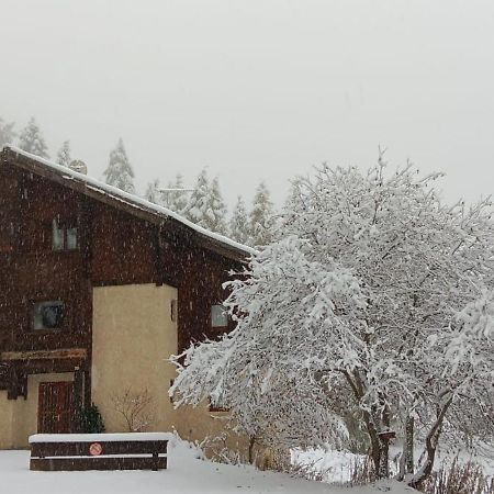 Chalet Les Arolles เลซอร์ ภายนอก รูปภาพ