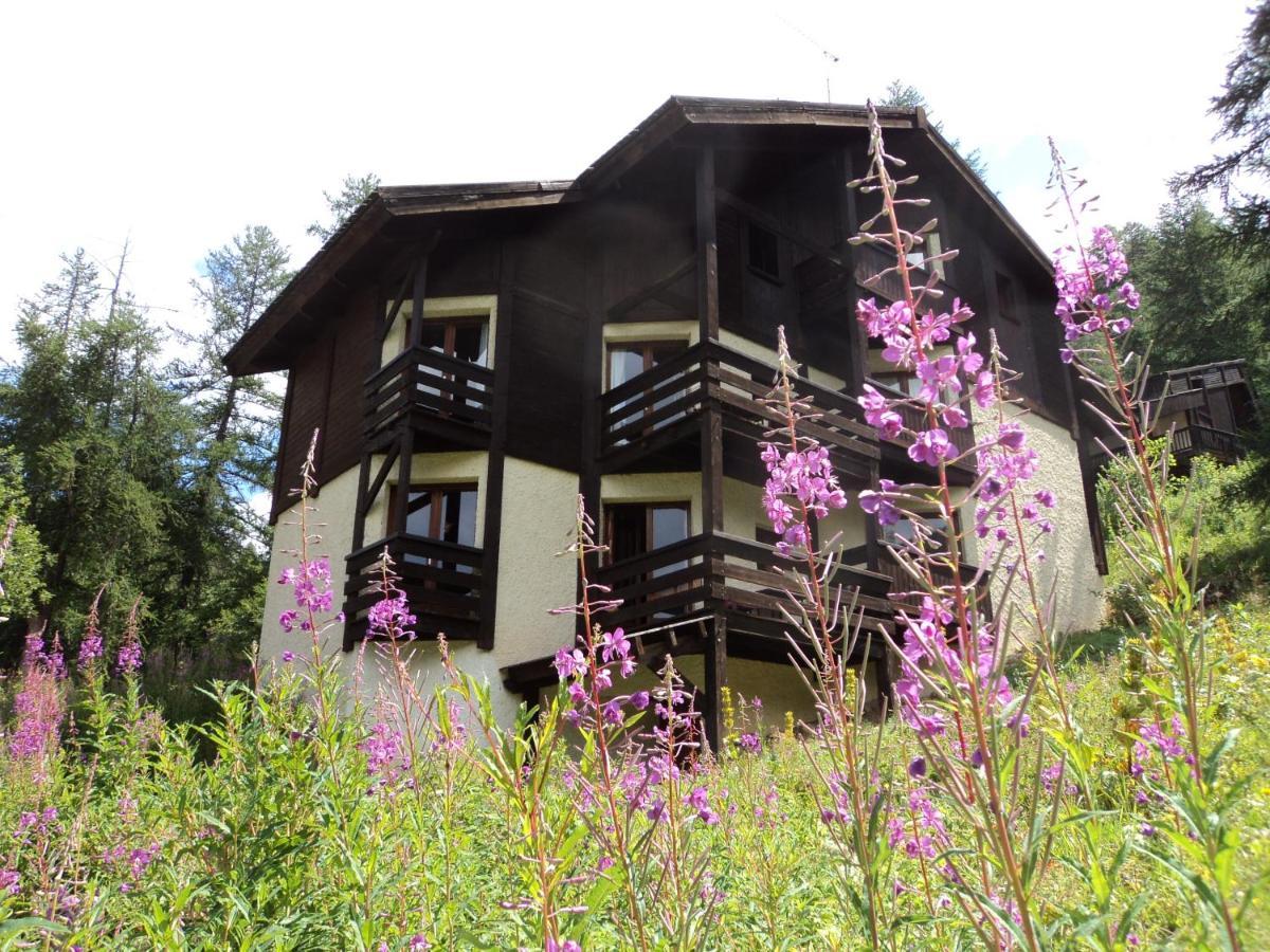 Chalet Les Arolles เลซอร์ ภายนอก รูปภาพ