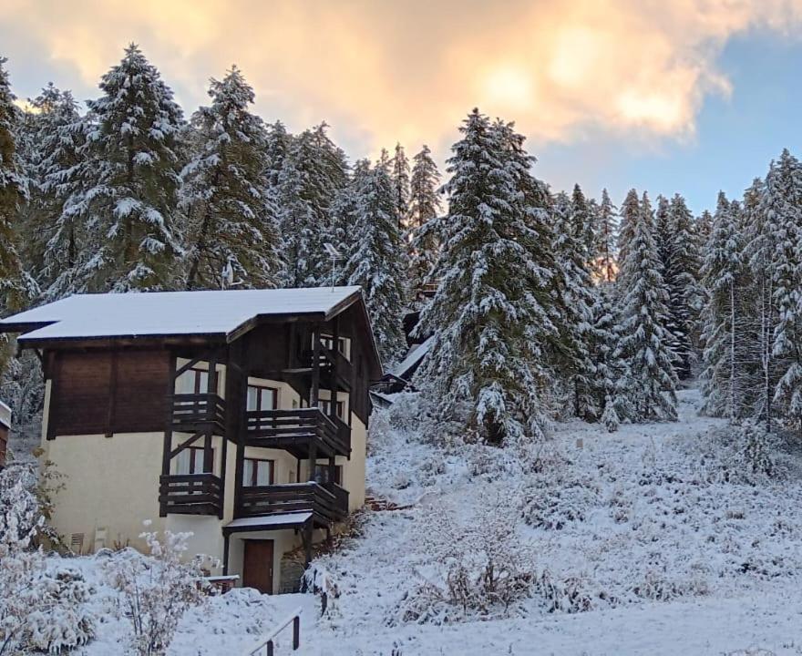 Chalet Les Arolles เลซอร์ ภายนอก รูปภาพ